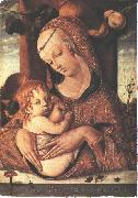 CRIVELLI, Carlo Virgin and Child dfg oil on canvas